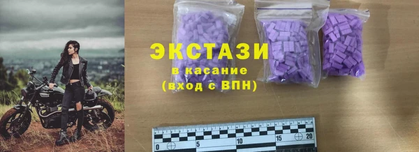 гашик Алексин