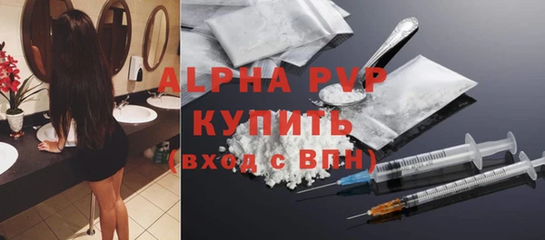 гашик Алексин