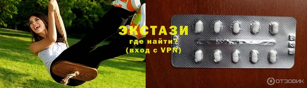 гашик Алексин