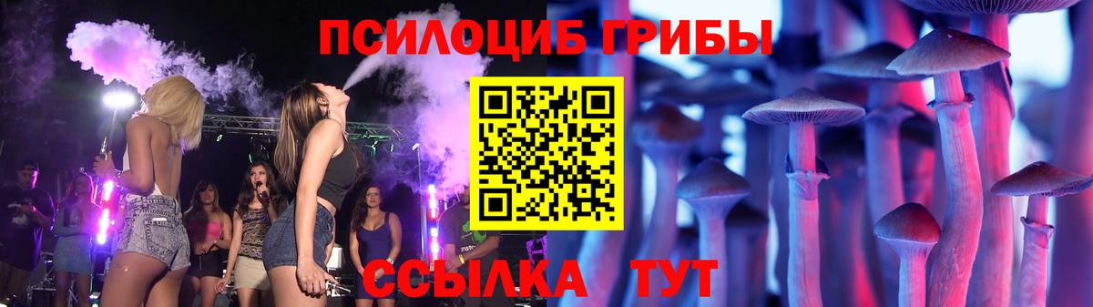 Углич  Галлюциногенные грибы Psilocybe  Вход с VPN 